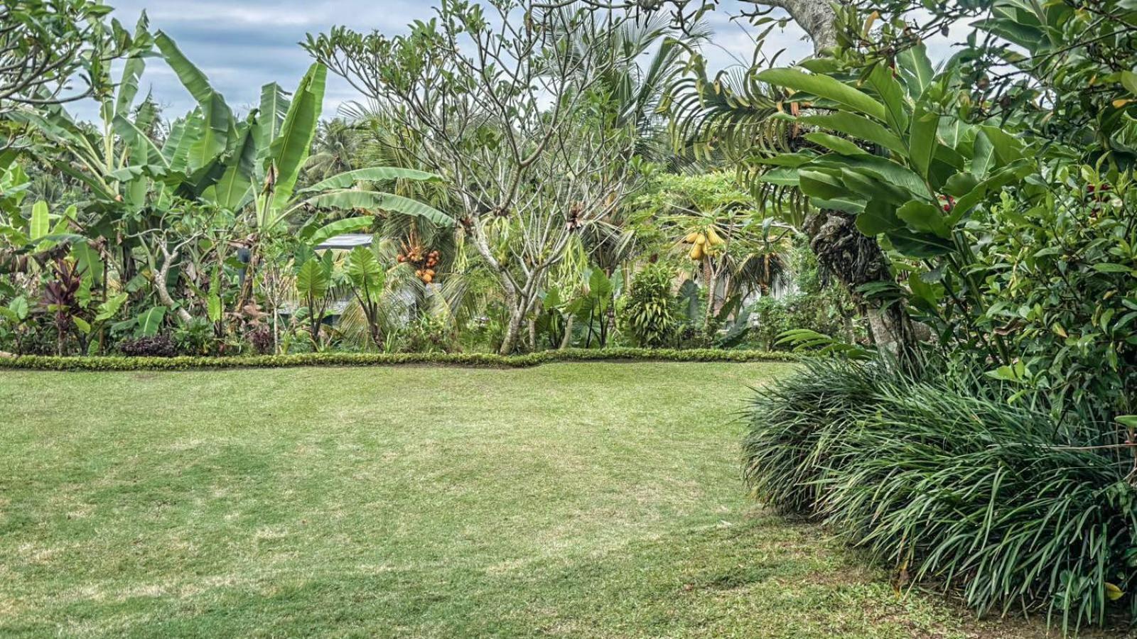 Dlobong Suite Ubud Dış mekan fotoğraf