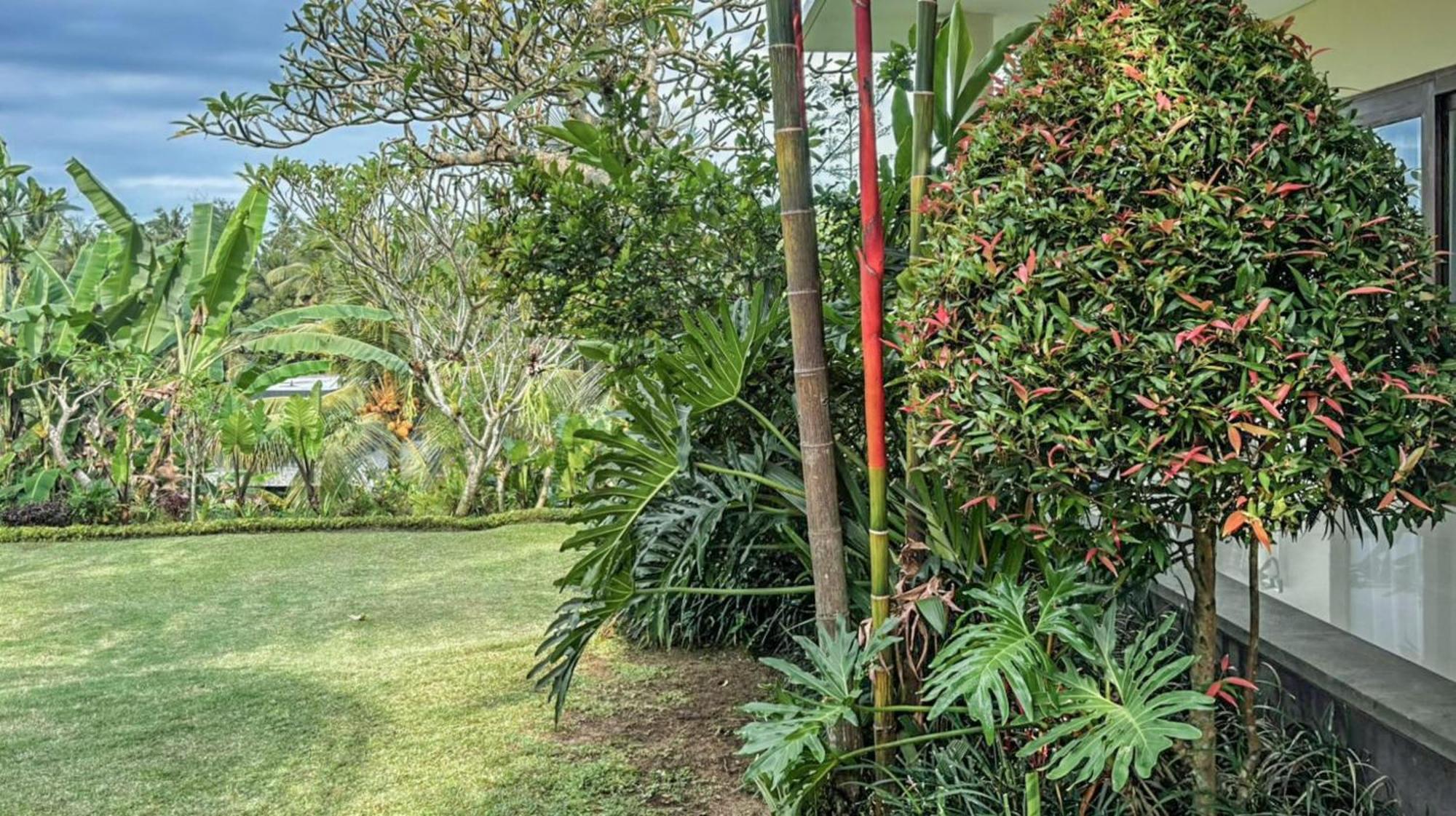 Dlobong Suite Ubud Dış mekan fotoğraf